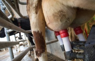 Duitse melkprijs stijgt met 1,54 euro in november