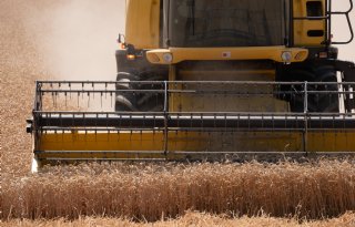 Oekraïne verliest handelsvoordelen voor de export van eieren, maïs en tarwe