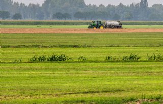 Geen straf voor mestfraudeur, taskforce monitort mestmarkt