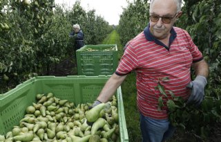 Termijnmarkt hardfruit krijgt meer gestalte