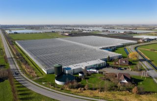 Overijssels gedeputeerde spreekt met tuinders over corona