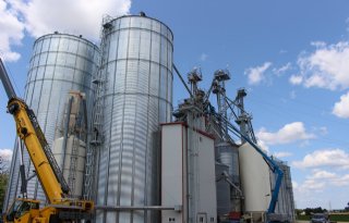 Canada geschikt voor teelt van peulvruchten