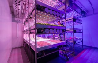 Verticale landbouw: hoe groot is te groot?