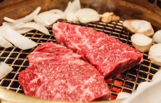 Redactie: Pieter Stokkermans | Nieuwe Oogst.nl HUUR VERRIJDBARE BARB.+AFZUIGING(ALLEEN BBQ.VLEES) excl. gas