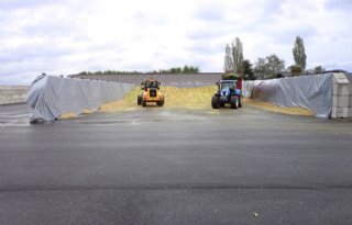 Meer betalen voor sleuf- of mestsilo op boerenerf