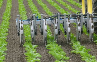Akkerbouwer Janknegt kiest voor vloeibare mest in bieten