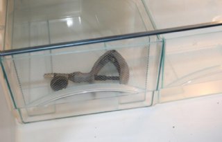 Antibioticaresistentie laatste redmiddelen neemt toe in Europa