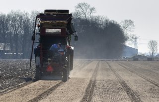 Vooral bollentelers hebben last van juridische onduidelijkheid