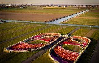 Reusachtige longen Keukenhof strijden tegen coronavirus