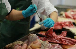Pathologie essentieel onderdeel monitoring