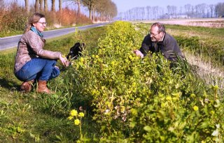 Boeren en burgers werken samen aan biodiversiteit