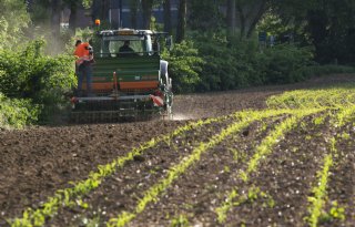 Miljoenen voor onderzoeksproject duurzame plaagbestrijding in akkerbouw