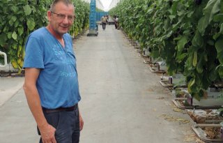 Auberginekweker werkt graag samen in Nieuw Prinsenland
