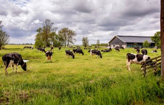 Meer dan helft boeren heeft geen opvolger