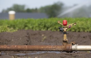 Droogte leidt tot drie onttrekkingsverboden op de Kop van Goeree