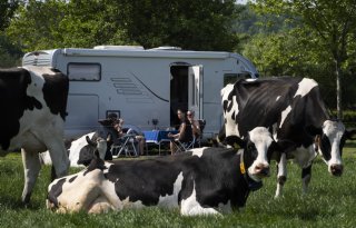 Boerencampings luiden noodklok over verhoging toeristenbelasting en btw