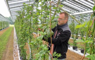 Zonnepanelen beschermen zachtfruit