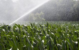 Onttrekkingsverbod van kracht in Noord- en Midden-Limburg