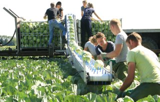 West-Friesland zoekt de regiobonus in nieuwe gebiedsvisie