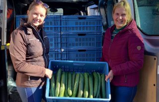 Tuinders helpen cliënten aan verse groenten