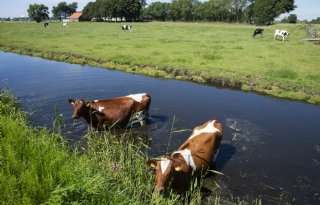 Noord-Holland wil gebruik kunstmest en gewasbescherming beperken