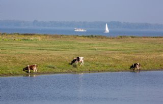 ZLTO wil compensatie voor boeren bij realisatie PowerPort Moerdijk