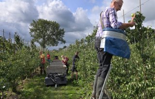 Werkgevers en vakbonden definitief akkoord over cao Open Teelten