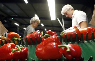 SER-advies: investeer in arbeidsbesparende technologie