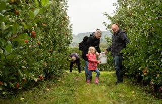 Fruittelers uit Vaals weten klanten te binden met plukdagen
