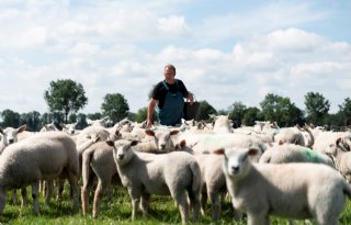 Bedrijf van Janssen is financieel gezond met drie takken