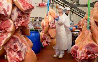 Schouten: slachtsnelheid verlagen juridisch niet mogelijk