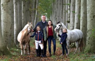Voor stoeterij Ysselvliedt is export van Welshpony's de kurk