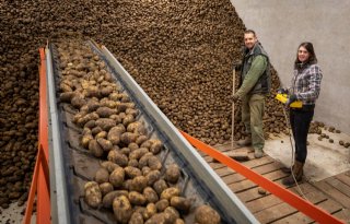 Aardappelteler maakt zich zorgen over komend seizoen