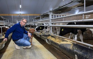 Kalverhouder vindt naast bedrijf sociaal leven belangrijk
