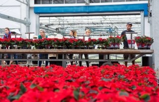 Horticoop pakt rol op van investeerder