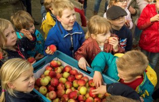 Limburgse kinderen gezonder door lunch- en beweegproject