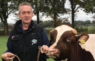 Directeur KI Kampen kijkt terug op veertig jaar fokkerij