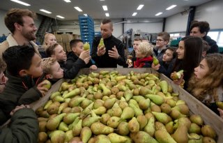 Schoolkinderen krijgen meer biologisch fruit voorgeschoteld