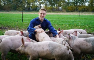 Weidevarkens staan centraal bij 't Krulstaartje in Dongen