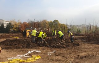 Hollandse planten en bollen fleuren Boekarest op