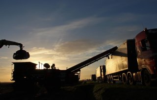 CEO Bert Jansen: 'In spannend jaar betere prestatie Avebe'