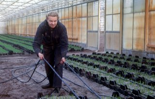 Herstructurering Duin- en Bollenstreek kampt met weerzin