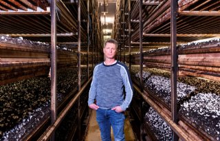 Sikes: 'Als champignonsector onze eigen problemen oplossen'