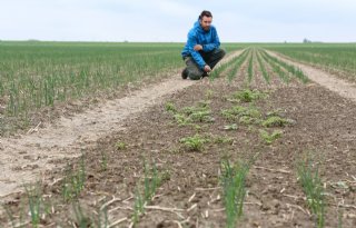 Akkerrand beperkt drift en afspoeling