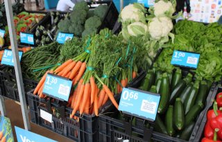 Gezond AH-model voor groente- en fruitsector