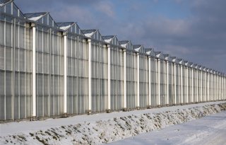Interpolis waarschuwt glastuinders: 'Stook sneeuw van kasdek af'