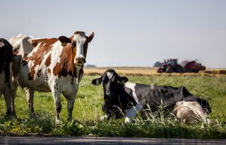 'Komende jaren zijn beslissend voor toekomst van de agrofoodsector'