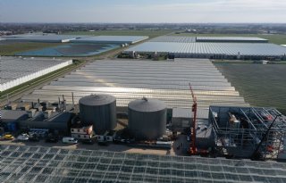 Kabinet lanceert actieplan voor meer warmte, elektriciteit en CO2 in de kas