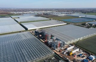 Tweede Kamer: glastuinbouw uitzonderen van energiebeprijzing