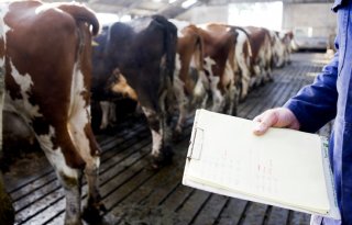Minder antibiotica gebruikt bij pluimvee en konijnen